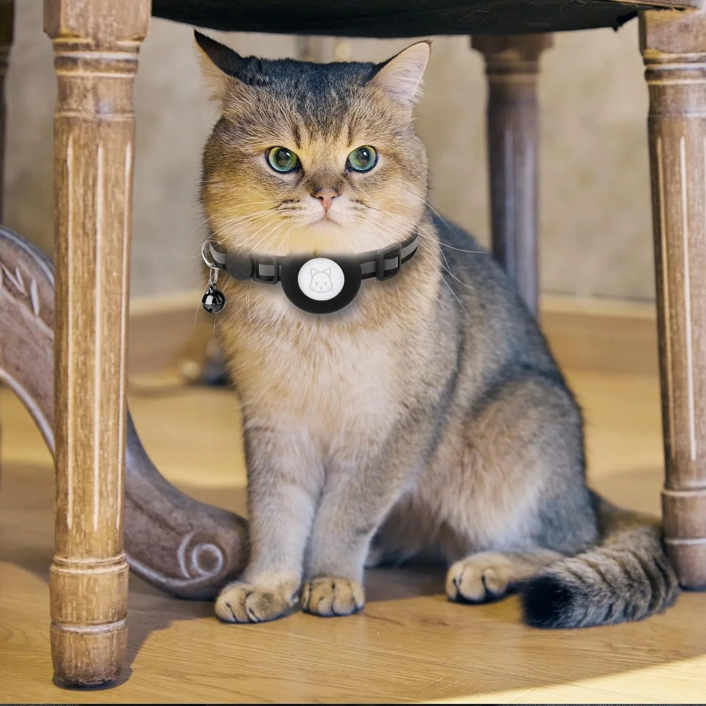 2-Pack Reflective Breakaway AirTag Cat Collar with Case and Bell for Cats, Kittens, and Extra Small Dogs - Black