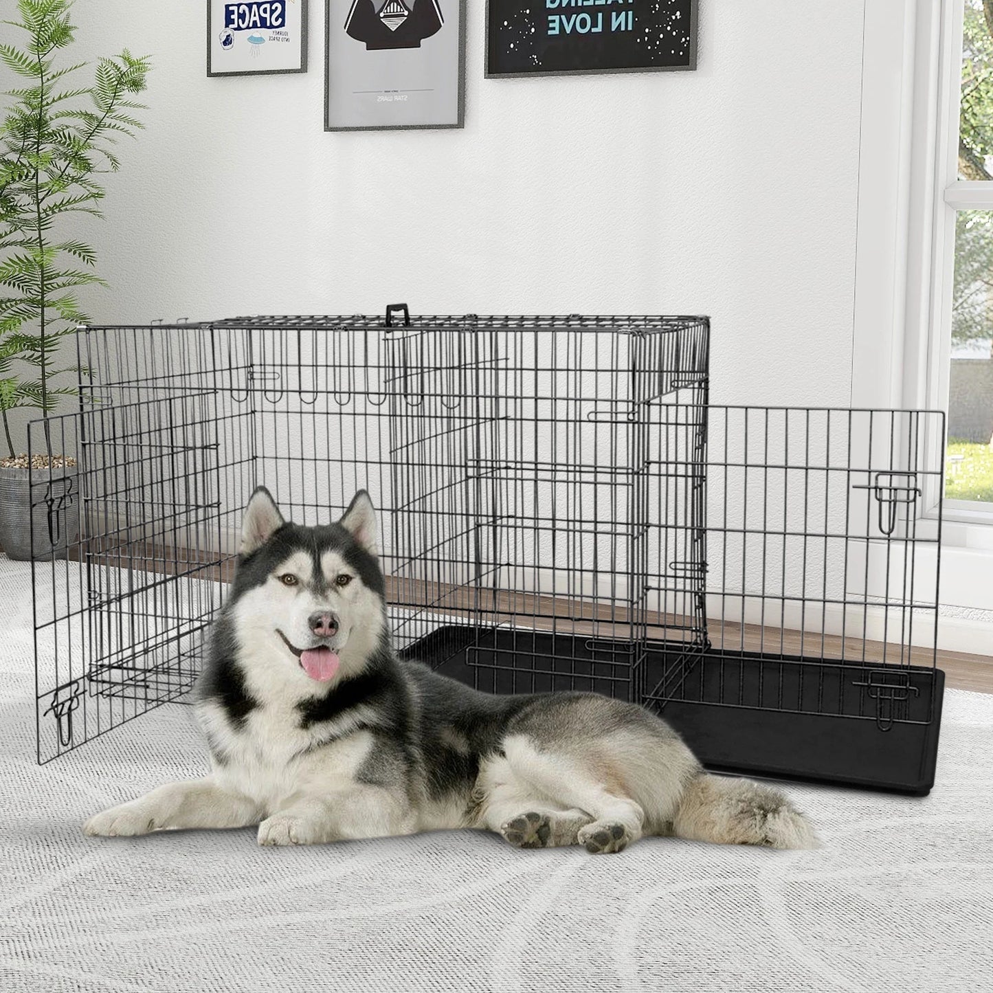 48-Inch Foldable Metal Dog Crate with Double Doors and Handle, Suitable for Large and Medium Dogs, Includes Plastic Tray, Black